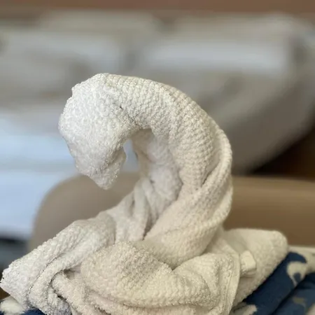 Art Erika Apartman Hajdúszoboszló