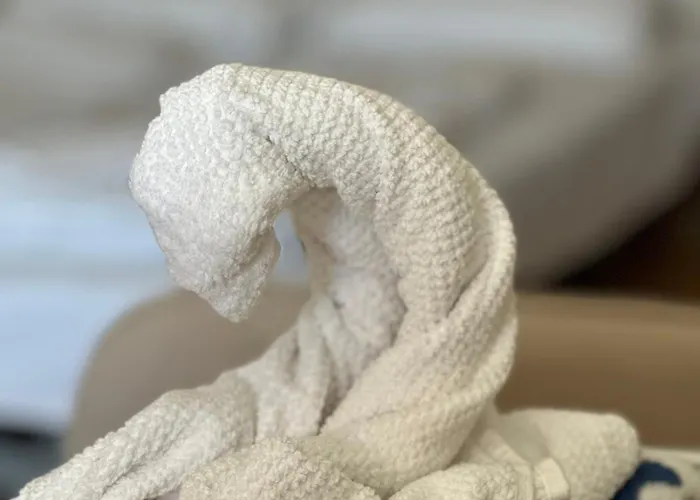 Art Erika Apartament Hajdúszoboszló